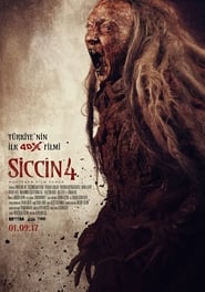 Siccin 4 (2017)